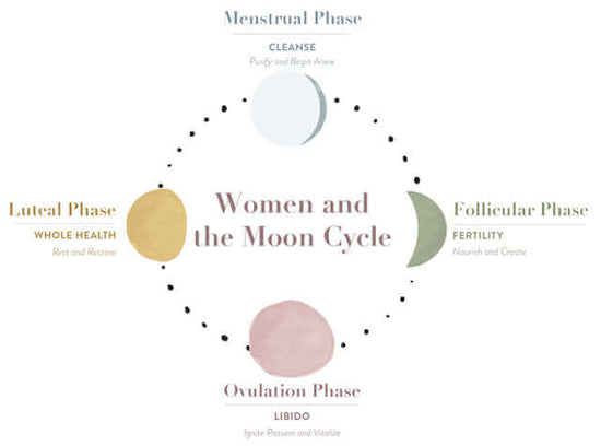 Moon Cycle Organic Tea for Hormone Balance Bundle women and the moon cycle