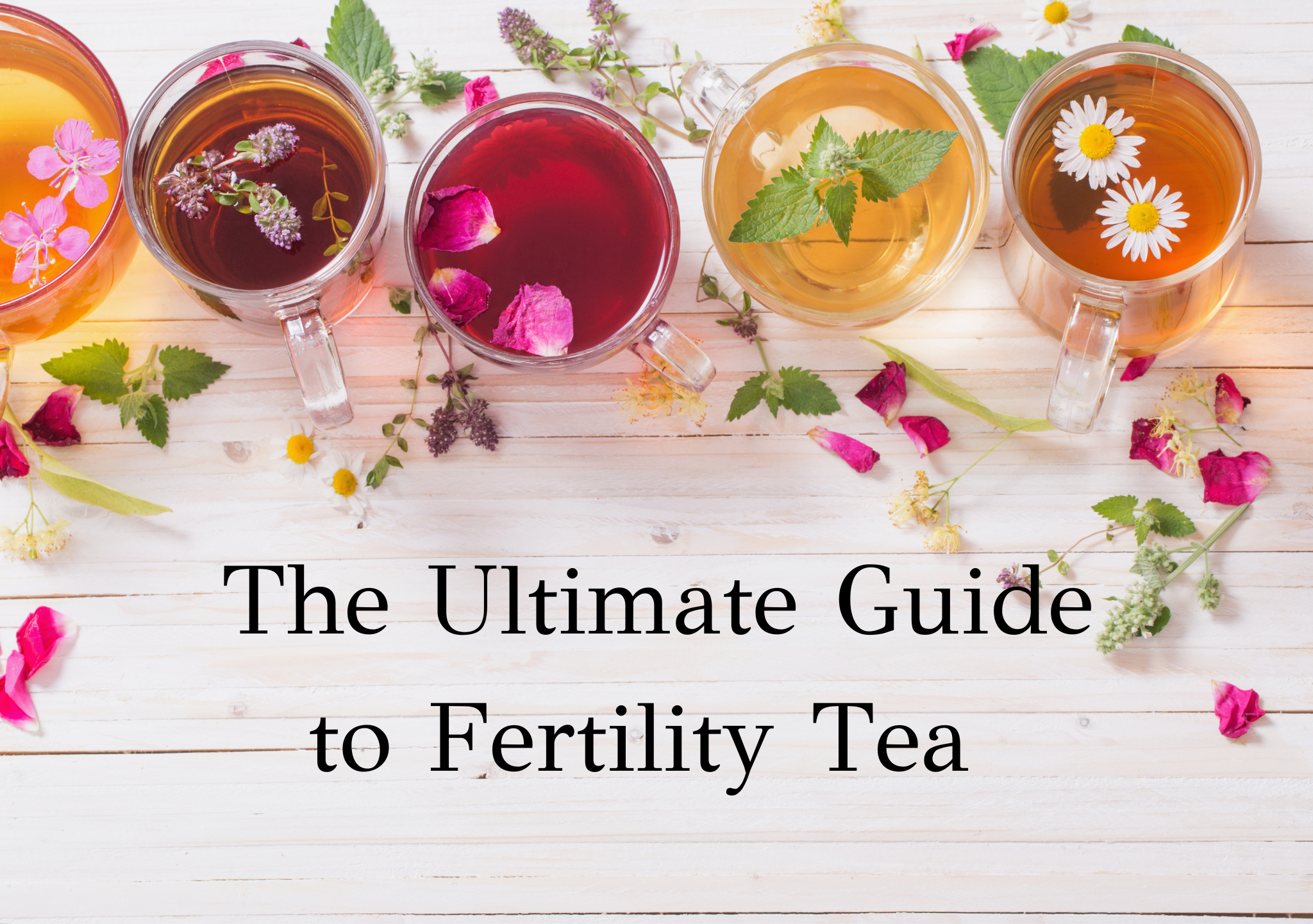 The Ultimate Guide to Fertility Tea – Moontime Tea