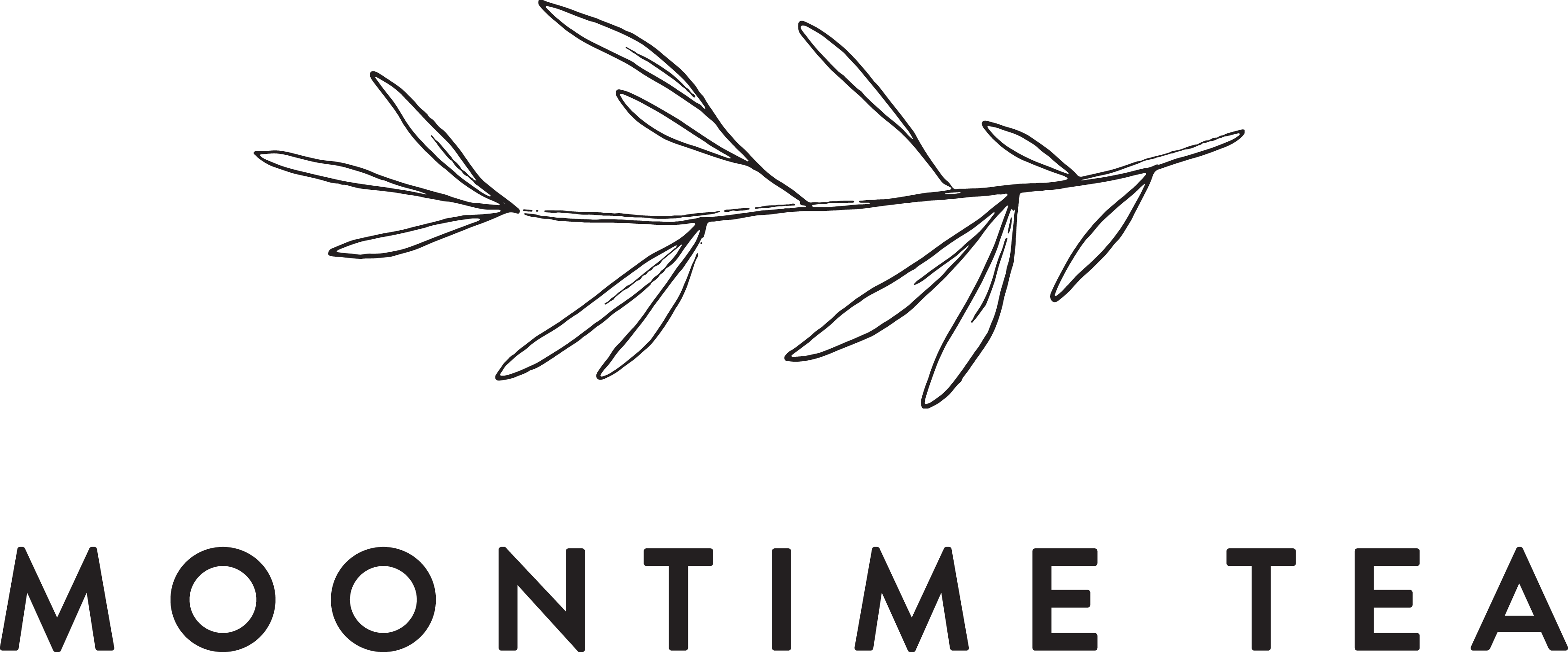 Moontime Herbal Tea Blends for Women – Moontime Tea